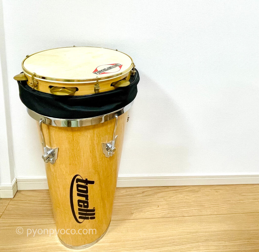 MEINL Percussion マイネル パンデイロ Traditional Wood Pandeiro